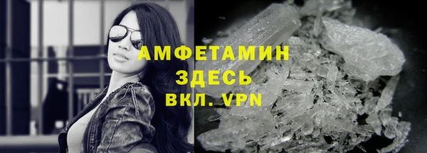 крисы Инта