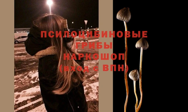 наркотики Каменногорск