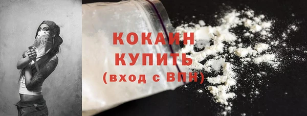 крисы Инта