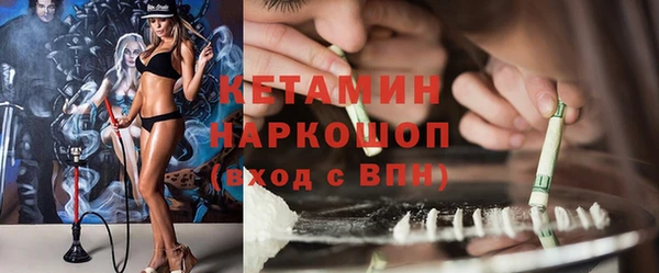 крисы Инта
