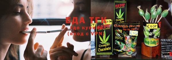 крисы Инта