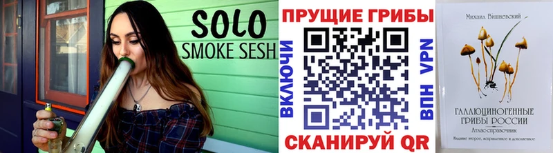 сколько стоит  мориарти Telegram  Псилоцибиновые грибы MAGIC MUSHROOMS  Медногорск 