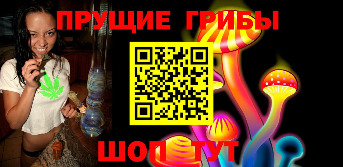 Медногорск  Псилоцибиновые грибы Cubensis  Вход с VPN  Псилоцибиновые грибы прущие грибы 